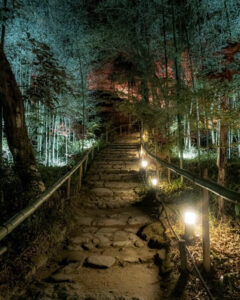 教林坊 、紅葉、ライトアップ、11月秋、滋賀県近江八幡市の観光・撮影スポットの名所