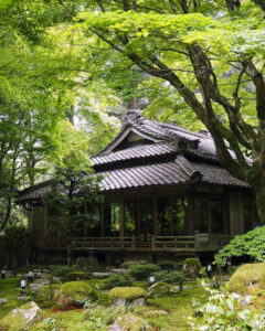 教林坊 、夏景色、新緑、もみじ、6月夏、滋賀県近江八幡市の観光・撮影スポットの名所