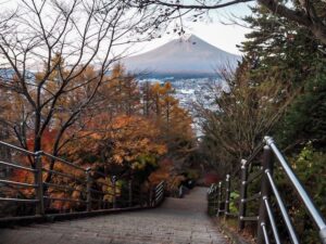 新倉山浅間公園、紅葉、11月秋、山梨県富士吉田市の観光・撮影スポットの名所