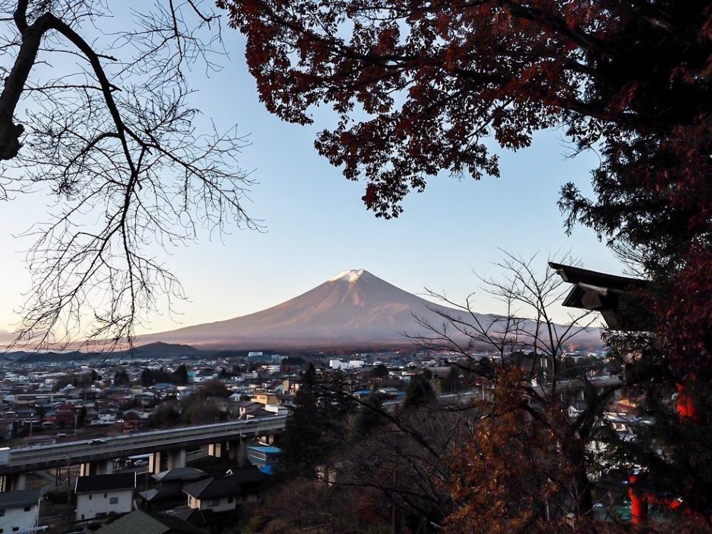 新倉山浅間公園、富士山、紅葉、11月秋、山梨県富士吉田市の観光・撮影スポットの名所
