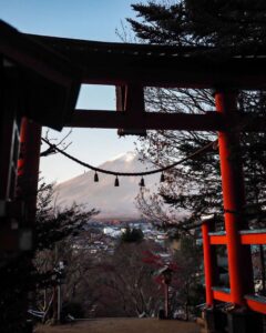 新倉山浅間公園、富士山、紅葉、11月秋、山梨県富士吉田市の観光・撮影スポットの名所