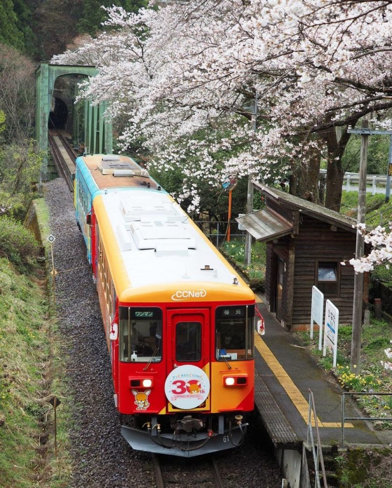 日当駅、樽見鉄道、桜、4月春岐阜県本巣市の観光・撮影スポットの画像と写真