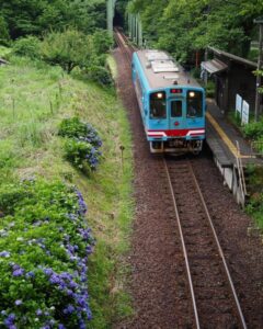 日当駅、樽見鉄道、あじさい、6月夏の花、岐阜県本巣市の観光・撮影スポットの画像と写真