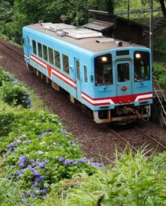 日当駅、樽見鉄道、あじさい、6月春岐阜県本巣市の観光・撮影スポットの画像と写真