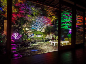 旧竹林院 、紅葉ライトアップ、11月秋、滋賀県大津市の観光・撮影スポットの名所