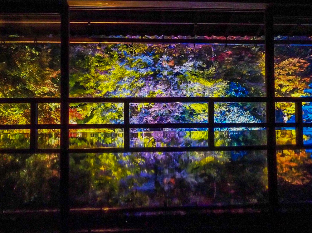旧竹林院 、紅葉ライトアップ、11月秋、滋賀県大津市の観光・撮影スポットの名所