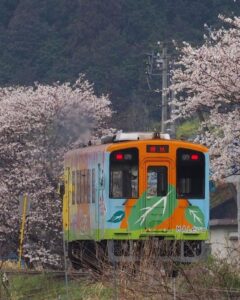 木地原駅 、樽見鉄道、桜、岐阜県本巣市の観光・撮影スポットの画像と写真