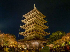 東寺、五重塔・紅葉ライトアップ、日本庭園、11月秋、京都府京都市の観光・撮影スポットの名所