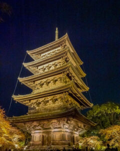 東寺、五重塔・紅葉ライトアップ、日本庭園、11月秋、京都府京都市の観光・撮影スポットの名所