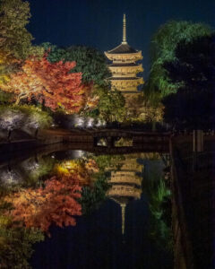 東寺、五重塔・紅葉ライトアップ、日本庭園、11月秋、京都府京都市の観光・撮影スポットの名所