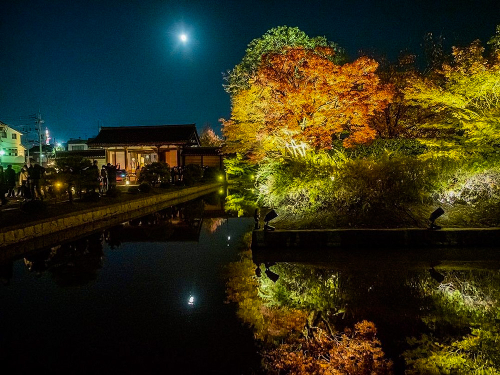 東寺、紅葉ライトアップ、日本庭園、11月秋、京都府京都市の観光・撮影スポットの名所