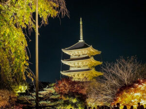東寺、五重塔・紅葉ライトアップ、日本庭園、11月秋、京都府京都市の観光・撮影スポットの名所