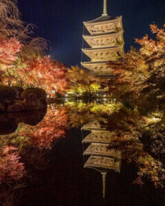東寺、五重塔・紅葉ライトアップ、日本庭園、11月秋、京都府京都市の観光・撮影スポットの名所