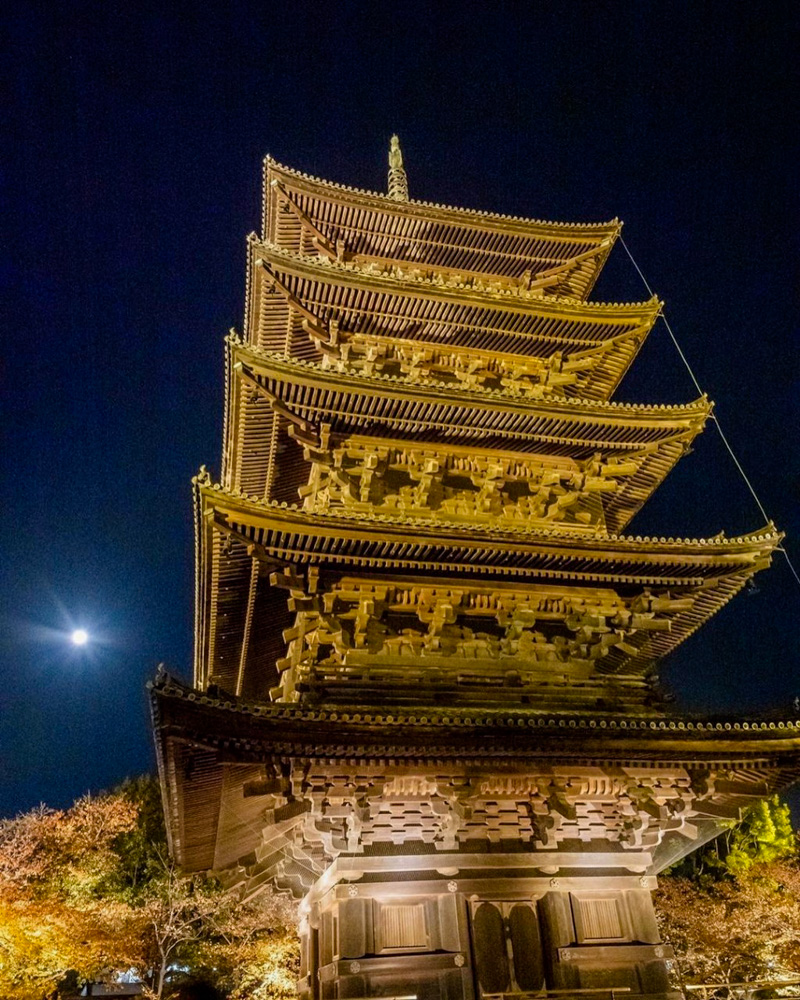 東寺、五重塔・紅葉ライトアップ、日本庭園、11月秋、京都府京都市の観光・撮影スポットの名所