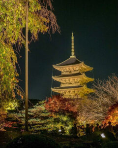 東寺、五重塔・紅葉ライトアップ、日本庭園、11月秋、京都府京都市の観光・撮影スポットの名所