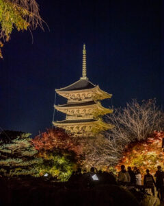 東寺、五重塔・紅葉ライトアップ、日本庭園、11月秋、京都府京都市の観光・撮影スポットの名所