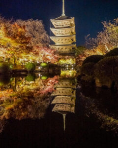東寺、五重塔・紅葉ライトアップ、日本庭園、11月秋、京都府京都市の観光・撮影スポットの名所