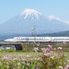 東部市民プラザ付近、富士山、れんげ、新幹線、新幹線、神奈川県富士市の観光・撮影スポットの名所