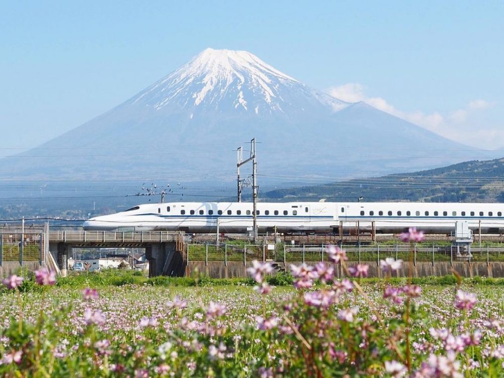 東部市民プラザ付近、富士山、れんげ、新幹線、新幹線、神奈川県富士市の観光・撮影スポットの名所