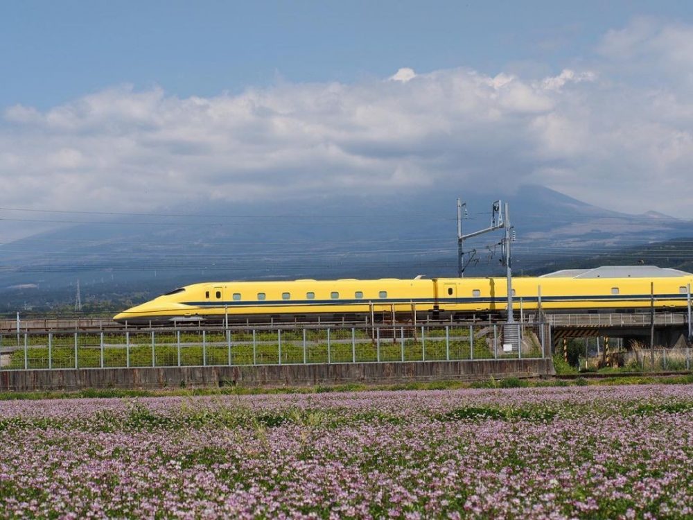 東部市民プラザ付近、富士山、れんげ、ドクターイエロー、新幹線、神奈川県富士市の観光・撮影スポットの名所