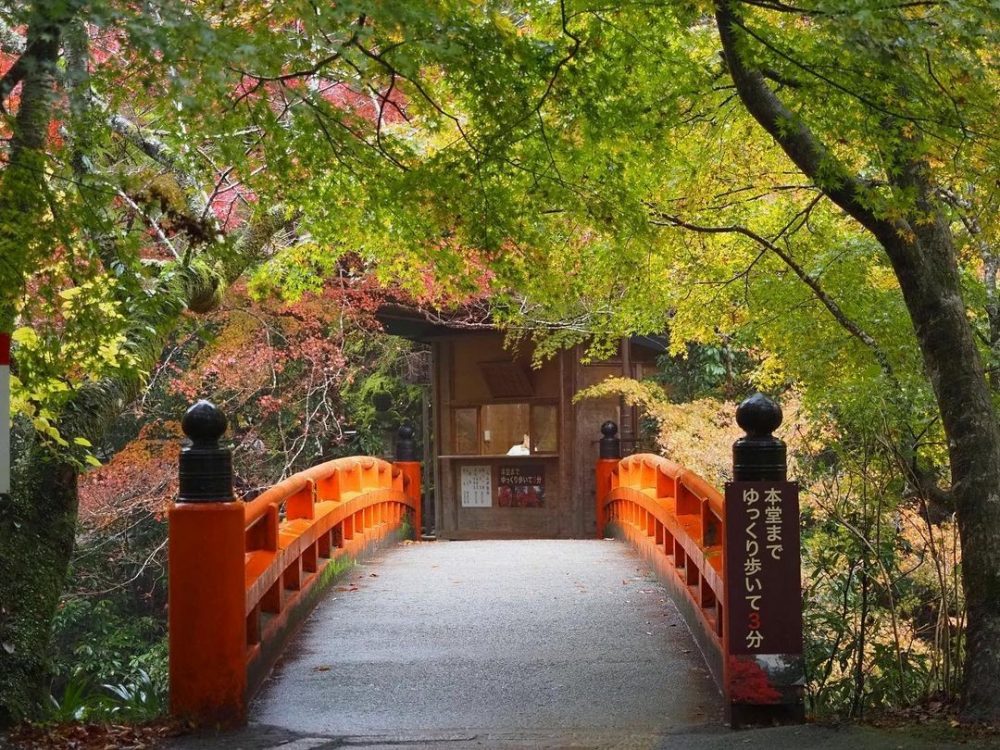 槙尾山西明寺 、紅葉、11秋、京都府京都市の観光・撮影スポットの名所