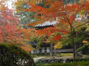 槙尾山西明寺 、紅葉、11秋、京都府京都市の観光・撮影スポットの名所