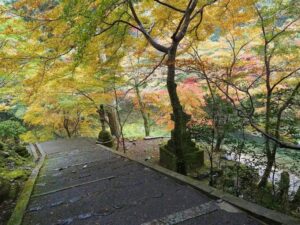 槙尾山西明寺 、紅葉、11秋、京都府京都市の観光・撮影スポットの名所