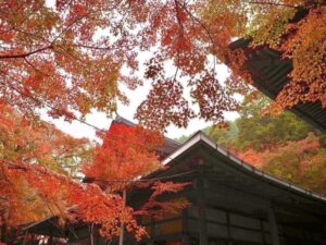 槙尾山西明寺 、紅葉、11秋、京都府京都市の観光・撮影スポットの名所
