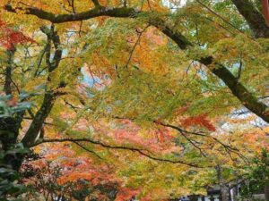 槙尾山西明寺 、紅葉、11秋、京都府京都市の観光・撮影スポットの名所