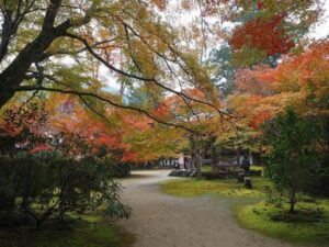 槙尾山西明寺 、紅葉、11秋、京都府京都市の観光・撮影スポットの名所