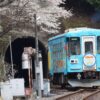 樽見駅、樽見鉄道、桜、4月春、岐阜県揖斐郡の観光・撮影スポットの画像と写真