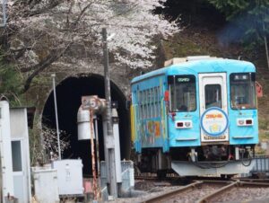 樽見駅、樽見鉄道、桜、4月春、岐阜県揖斐郡の観光・撮影スポットの画像と写真