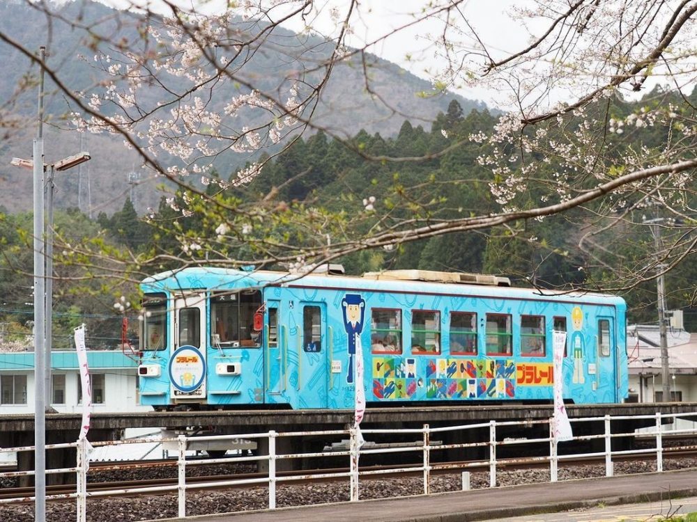 樽見駅、樽見鉄道、桜、4月春、岐阜県揖斐郡の観光・撮影スポットの画像と写真