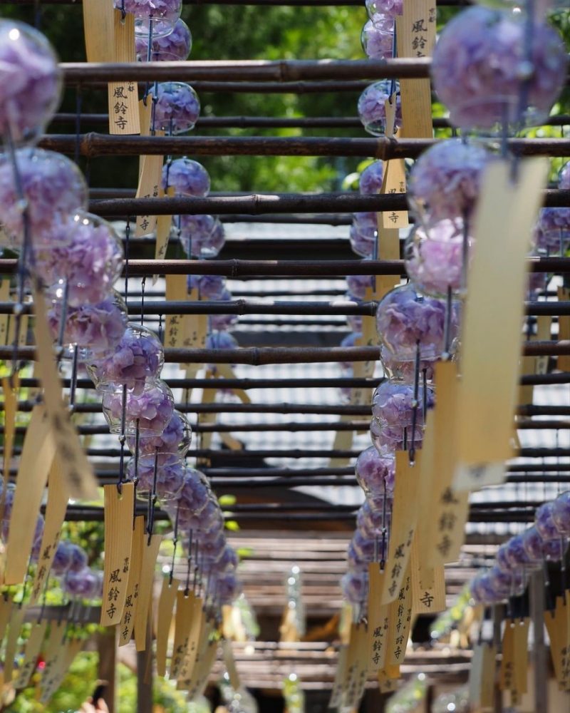 正寿院、風鈴まつり、7月、夏、京都府綴喜郡の観光・撮影スポットの名所