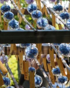 正寿院、風鈴まつり、7月、夏、京都府綴喜郡の観光・撮影スポットの名所