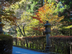 比叡山ドライブウェイ、紅葉、11月秋滋賀県大津市の観光・撮影スポットの名所