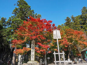 比叡山ドライブウェイ、紅葉、11月秋滋賀県大津市の観光・撮影スポットの名所