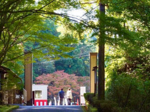 比叡山ドライブウェイ、紅葉、11月秋滋賀県大津市の観光・撮影スポットの名所