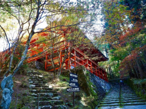 比叡山ドライブウェイ、紅葉、11月秋滋賀県大津市の観光・撮影スポットの名所
