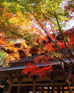 永源寺 、紅葉、11月秋、滋賀県東近江市の観光・撮影スポットの名所