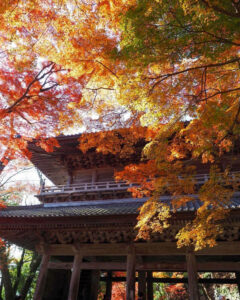 永源寺 、紅葉、11月秋、滋賀県東近江市の観光・撮影スポットの名所
