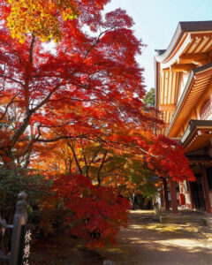 永源寺 、紅葉、11月秋、滋賀県東近江市の観光・撮影スポットの名所