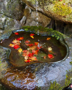 永源寺 、紅葉、11月秋、滋賀県東近江市の観光・撮影スポットの名所