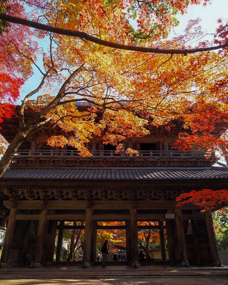 永源寺 、紅葉、11月秋、滋賀県東近江市の観光・撮影スポットの名所