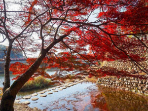 永源寺 、紅葉、11月秋、滋賀県東近江市の観光・撮影スポットの名所