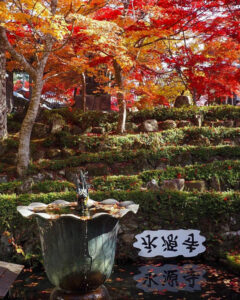 永源寺 、紅葉、11月秋、滋賀県東近江市の観光・撮影スポットの名所