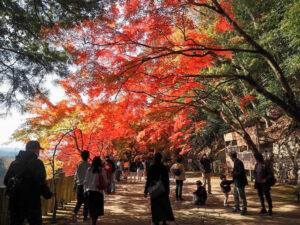 永源寺 、紅葉、11月秋、滋賀県東近江市の観光・撮影スポットの名所