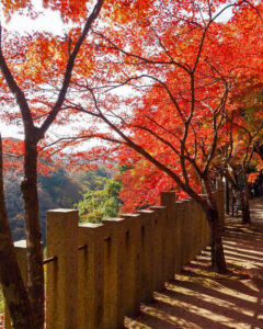 永源寺 、紅葉、11月秋、滋賀県東近江市の観光・撮影スポットの名所