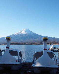 河口湖もみじ回廊付近 、富士山・スワン、11月秋、山梨県南都留郡の観光・撮影スポットの名所