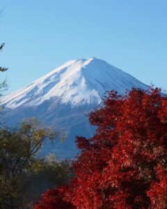 河口湖もみじ回廊付近 、富士山・紅葉、11月秋、山梨県南都留郡の観光・撮影スポットの名所